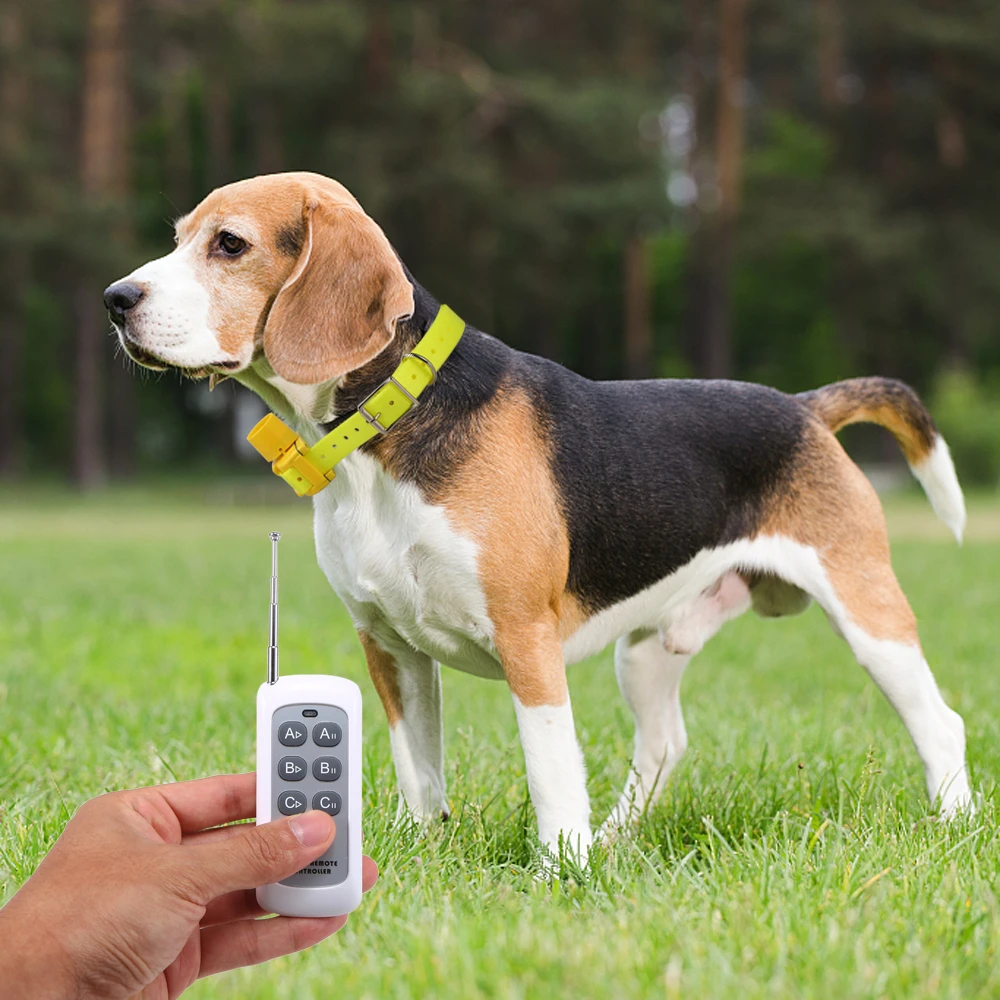 

Hunting Dog Beeper Yellow Hunter Indicator Water Repellent Dog Training Collar for Small Medium Large Dogs