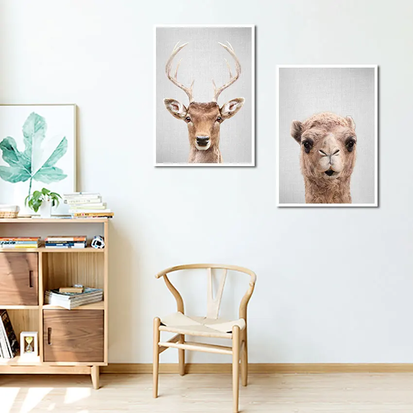 Животные Альпака лось 2 шт. Hd печать живопись постер для дома гостиной и спальни