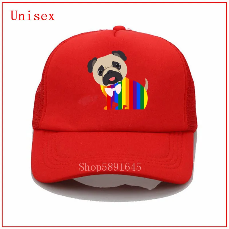 Шляпа гей Прайд мопс аниме шляпа крест накрест шапка с отверстием для хвоста