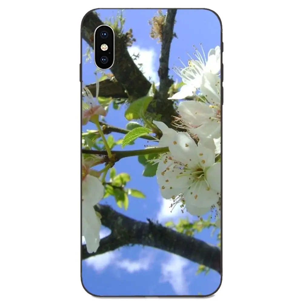 Модные вишни динамический мягкий термополиуретановый чехол для Galaxy A10S A20S A2 Core A30S