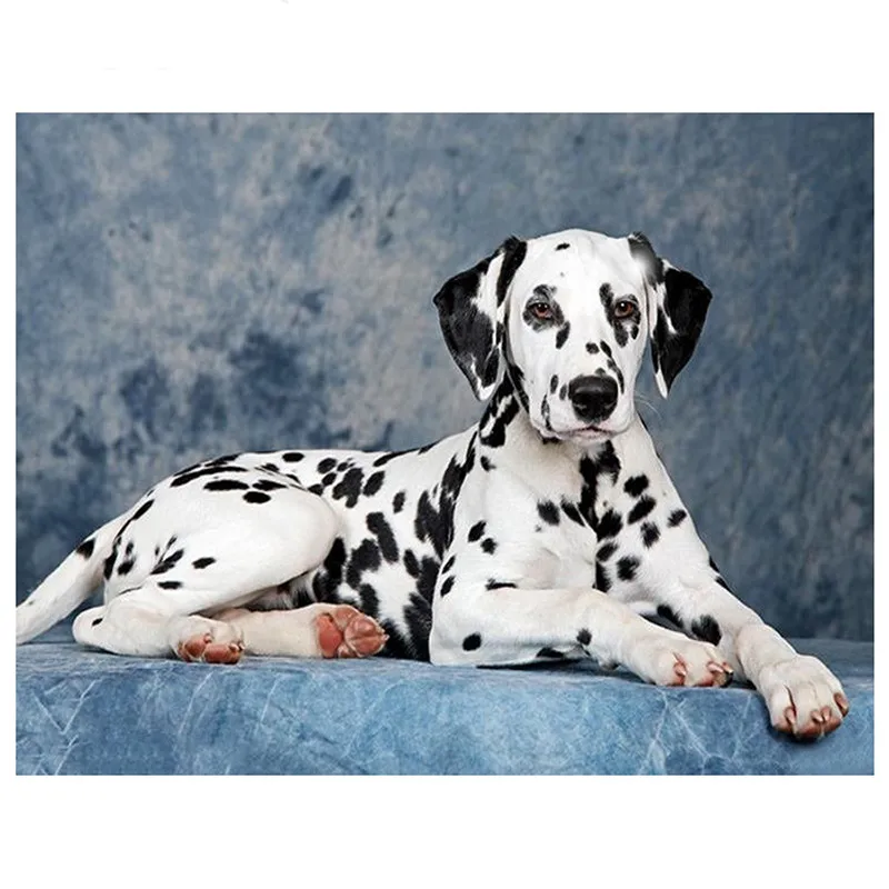 

Full Square/round 5D DIY Diamond Painting animal dog 3D Rhinestone Embroidery pet Cross Stitch Mosaic Painting Home Decor G214
