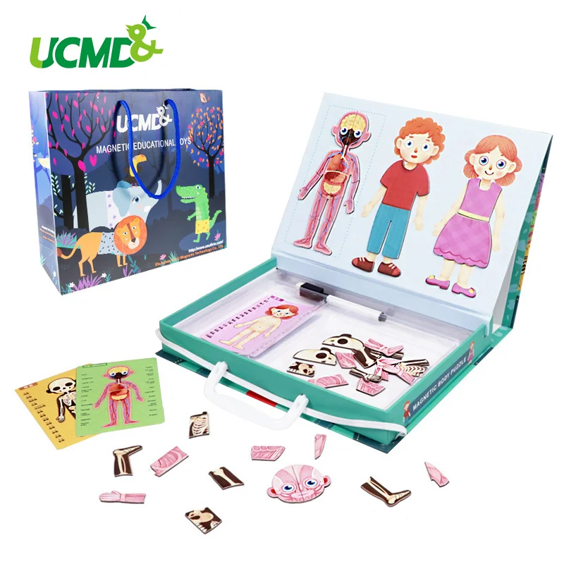 Магнитные игрушки головоломки для тела мышечная костная структура