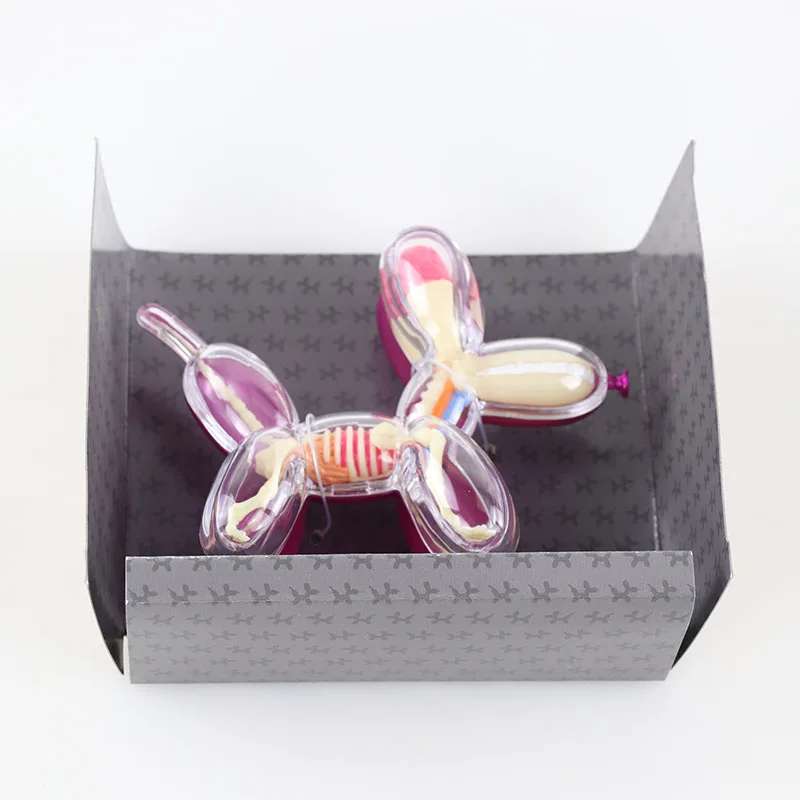 

Анатомическая модель собаки с воздушным шаром