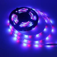 5m led light strip remote control infrared 3528smd rgb flexible strip light with strong adhesion for indoor decoration lighting