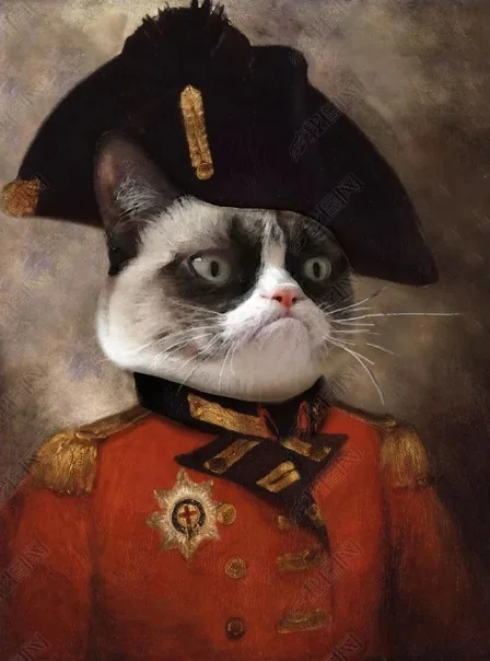 Винтажный стиль украшение дома картина с рисунком животных Cardinal Cat плакаты-портреты Hd Печать скандинавские настенные картины для спальни - Цвет: No Frame 8