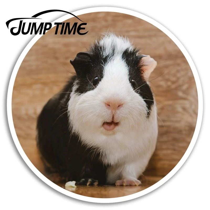Прыгать время Веселые свинки винил Стикеры милые ноутбук Чемодан автомобиля