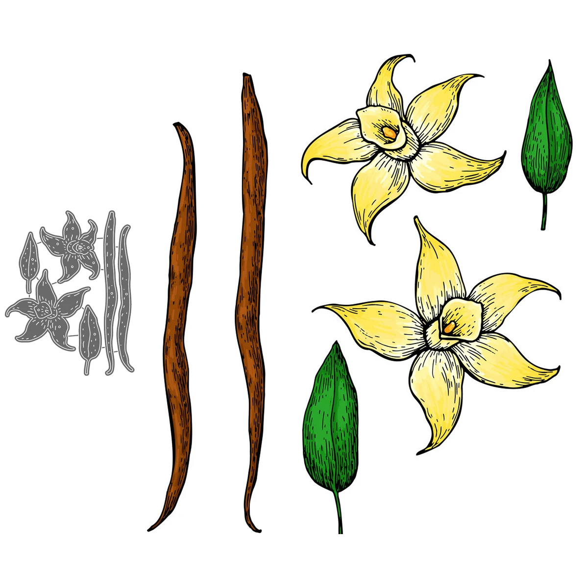

Vanilla Flower And Bean Stick Set Metal Craft Dies Cutting For Diy Scrapbooking Paper Handmade Mold 2021 Embossing New