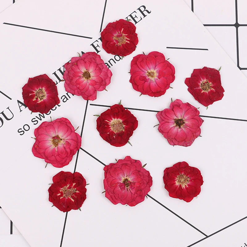 1 сумка красивый чехол для телефона с высушенными розами diy прессованный