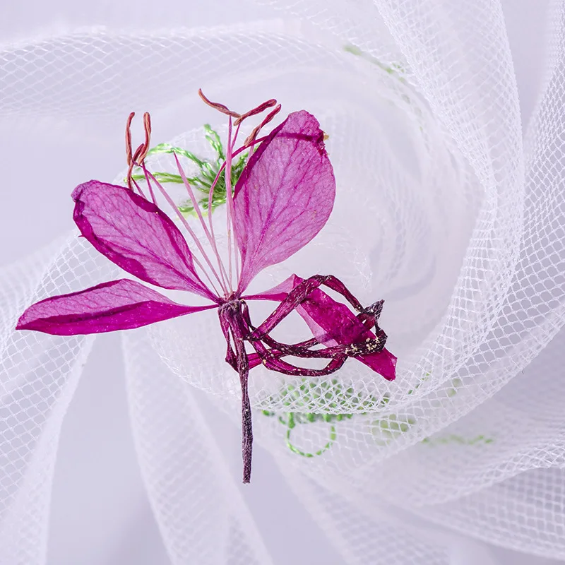 

60pcs Pressed Dried Flower Gaura Lindheimeri Engelm Herbarium For Epoxy Makeup Jewelry Postcard Invitation Card Phone Case DIY