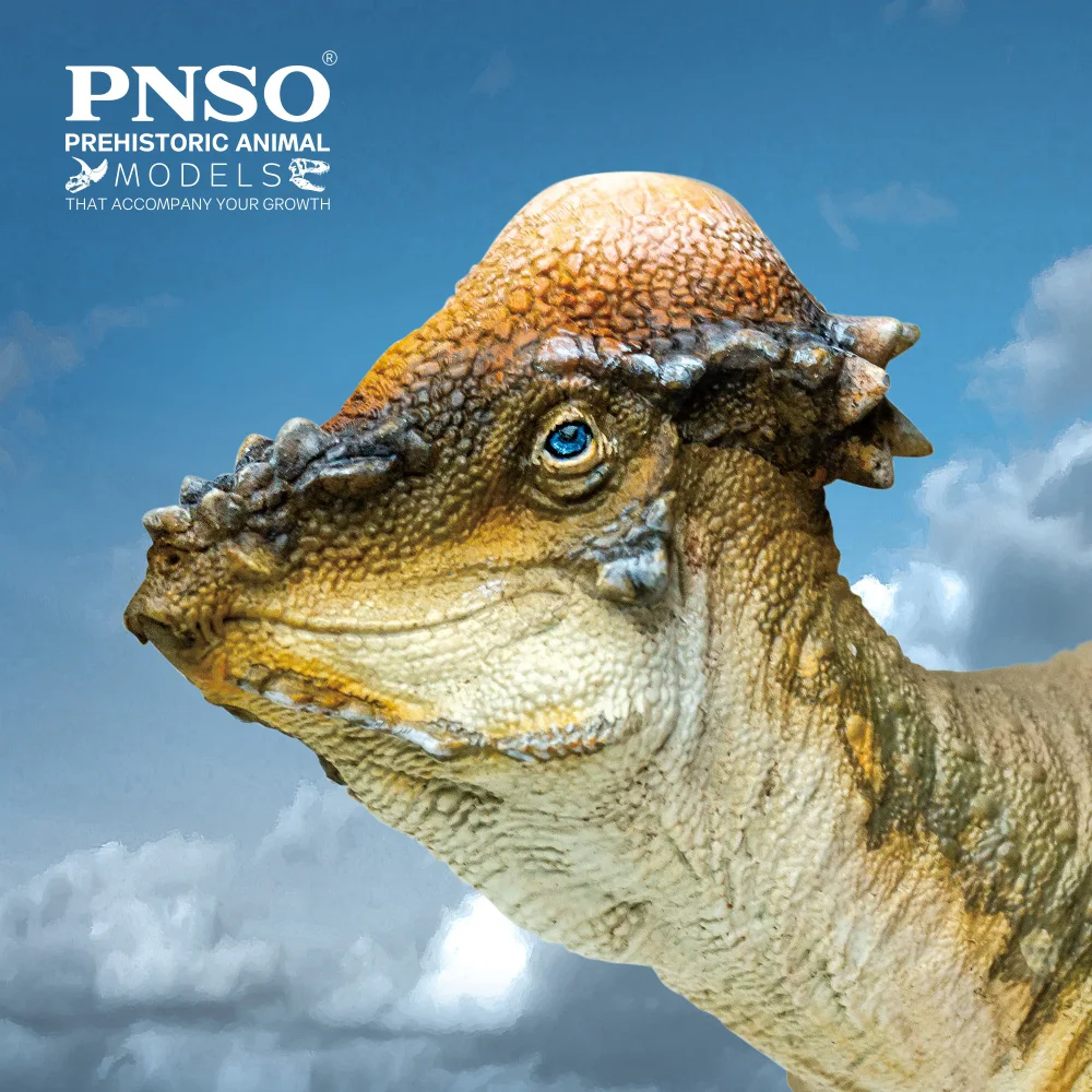 PNSO-dinosaurio prehistorico, modelos: 46, Austin, el paquicefalosaurio-0