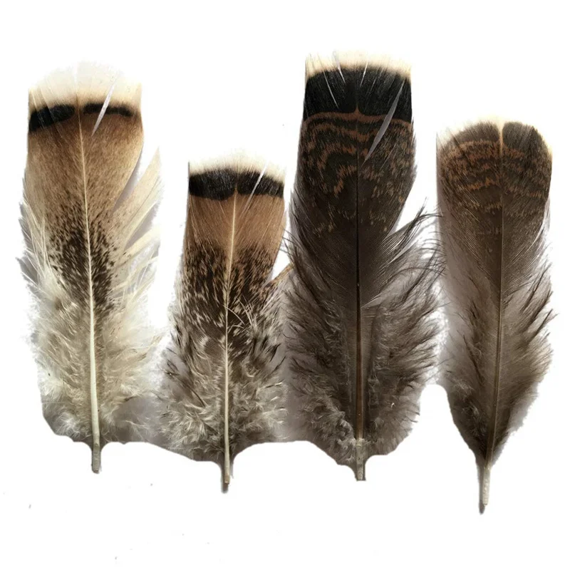 

100Pcs/Lot Turkey Pheasant Plumage Eagle Feathers 10-15cm/4-6inch Pheasant Feathers for Crafts carnaval assesoires Plumas Plumes