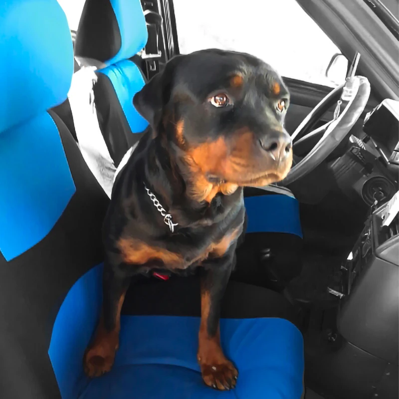 Чехол для автомобильного сиденья простой стиль подходит большинства