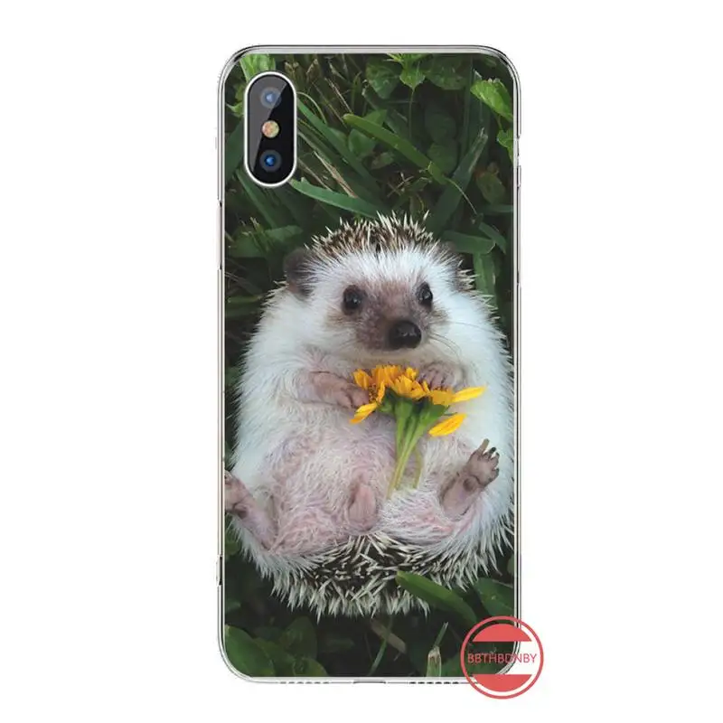 

Hedgehog little cute animal Phone Case For iphone 12 5 5s 5c se 6 6s 7 8 plus x xs xr 11 pro max mini high quality capa