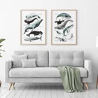 Настенная картина с акварелью, морской жизнью, Китом, акулой, бумага для рисования на холсте, скандинавские плакаты и принты, настенные картины для декора гостиной