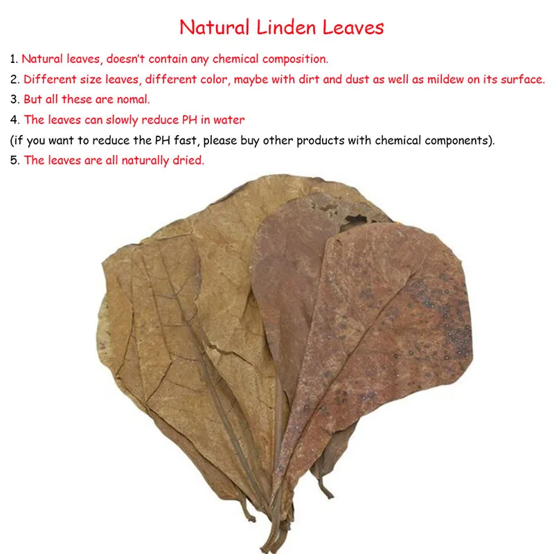 Аквариумный фильтр Terminalia Catappa Foetida с листьями миндальными для очистки рыб 10 шт.