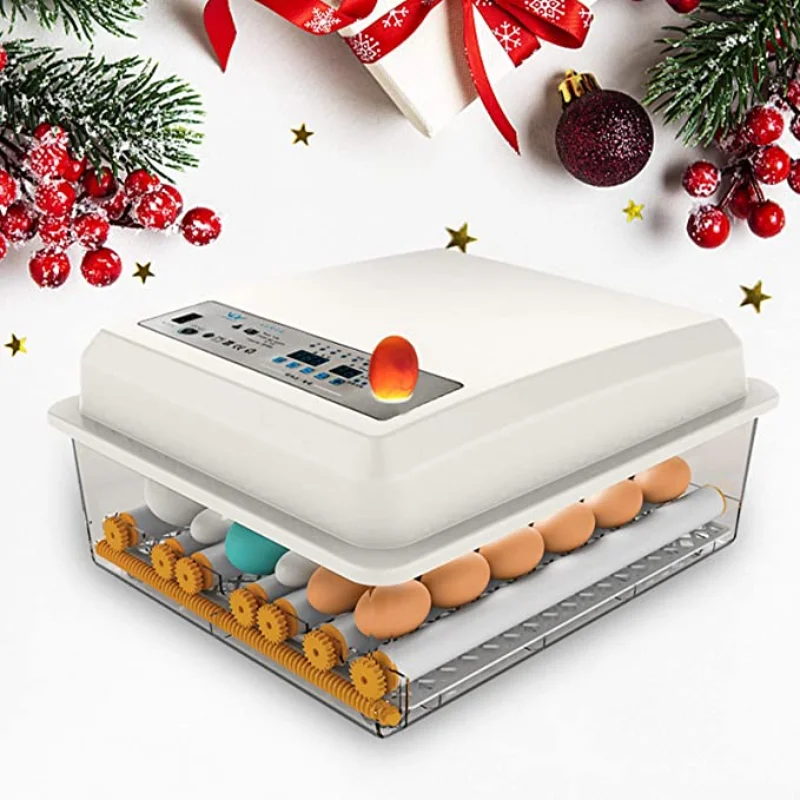 

Egg Incubator 36 Eggs Fully Automatic Digital Mini Brooder Chicken Bird Egg Incubator Auto Farm Incubation Tool EU/US/UK PLUG