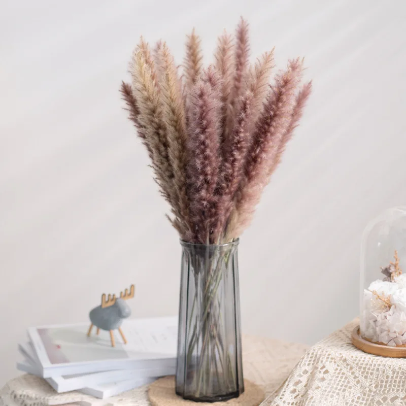 Ramo de Flores de ca&ntilde;a secas reales para decoraci&oacute;n del hogar, Flores de mesa Preservadas, hierba de Pampas Natural para habitaci&oacute;n, 30 piezas-1
