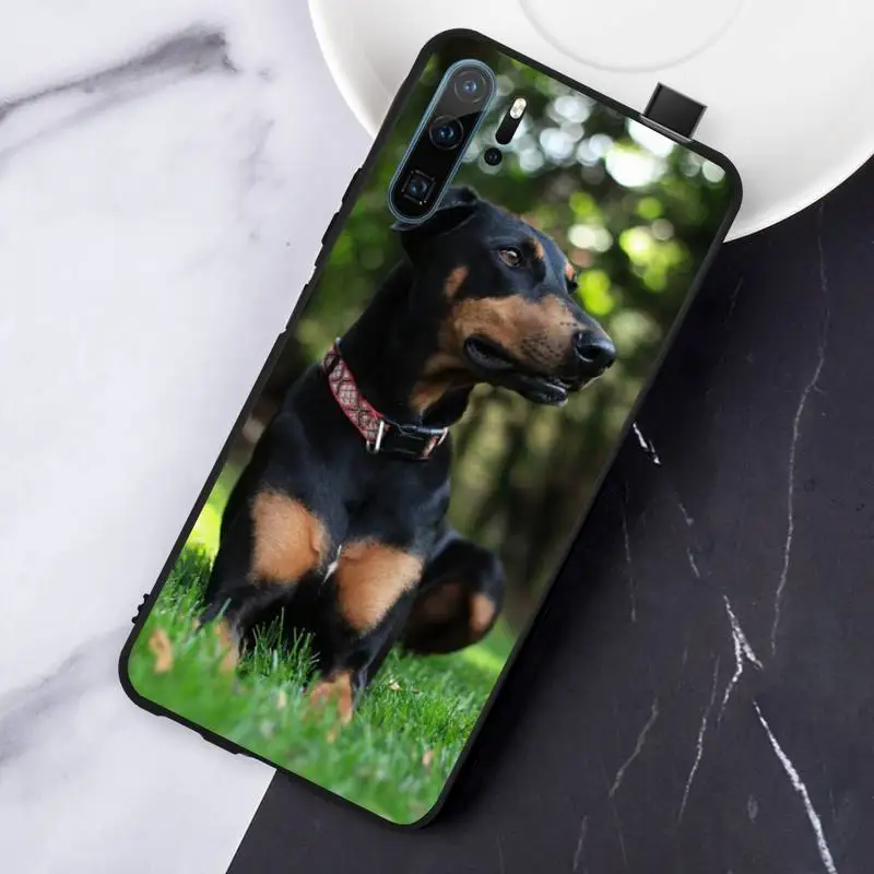 

black Dachshund Doberman Dog Anti-fall luxury Phone Case shell For Huawei honor Mate P 10 20 30 40 Pro 10i 9 10 20 8 x Lite