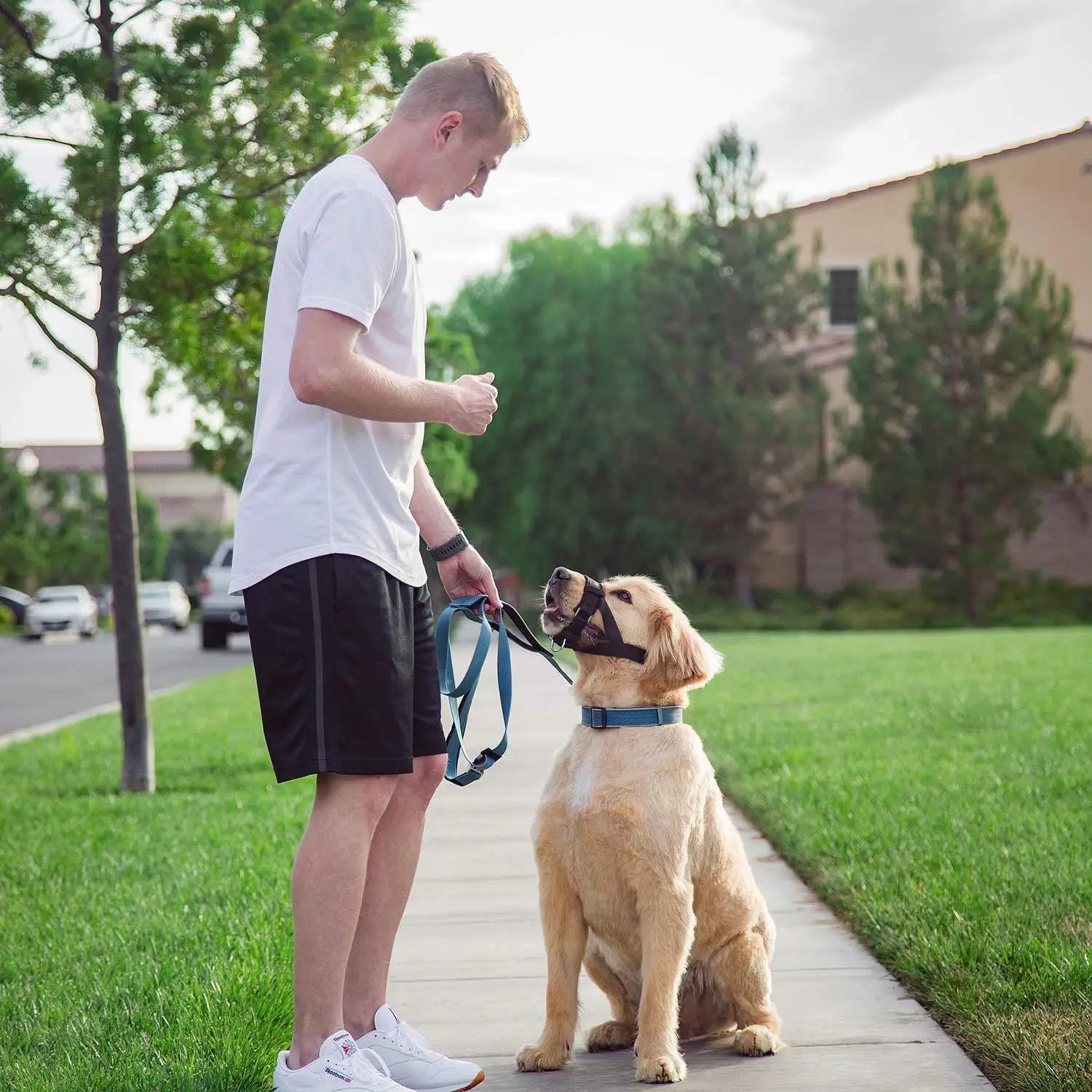 Набор для остановки лая во рту собаки чтобы предотвратить 2021 лизание