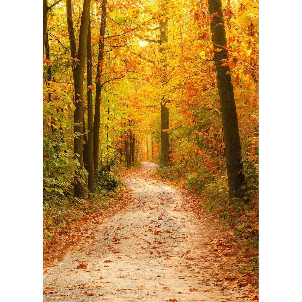 

Желтые листья, фон для фотосъемки по индивидуальному заказу любят фон Подставки для фотографий для детские, для малышей портрет роща Фотока...