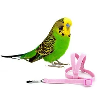 1pc anti bite flying training rope parrot bird pet leash kits ultralight harness leash soft portable pet plaything supplies