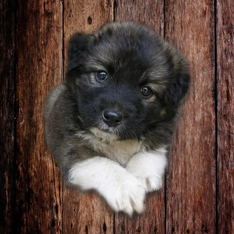 Фон Искусство фотографические инструменты прямая посадка комната