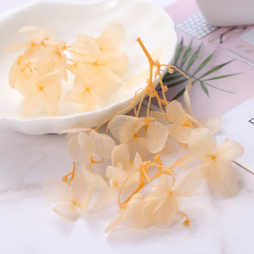 1 коробка сухое цветочное ремесло из смолы сделай сам наполнителя эпоксидной