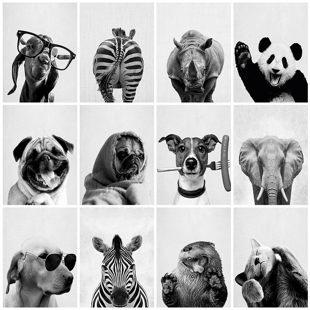 

Evershine 5D DIY Алмазная вышивка собаки картина стразы Алмазный мозаика Черное и белое животные вышивка крестом наборы декор для дома