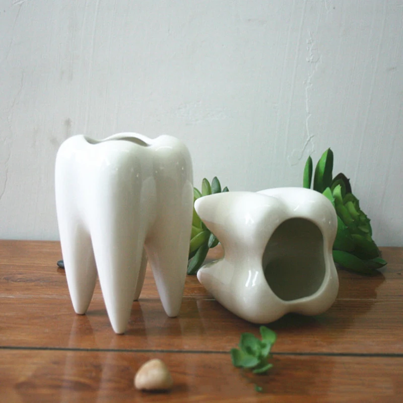 

Fleshy Potted White Ceramic Penholder Ornament Tooth Shaped Tabletop Flowerpot Garden Balcony Decorations
