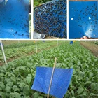 20*10 см Bugs липкие доски сад кухня Балкон ловушка бумага двусторонняя