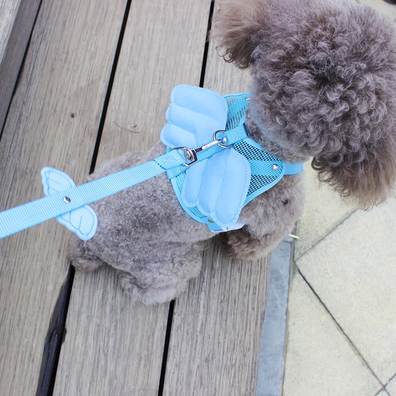 Сетчатый ошейник для домашних питомцев с крыльями маленьких собак распродажа