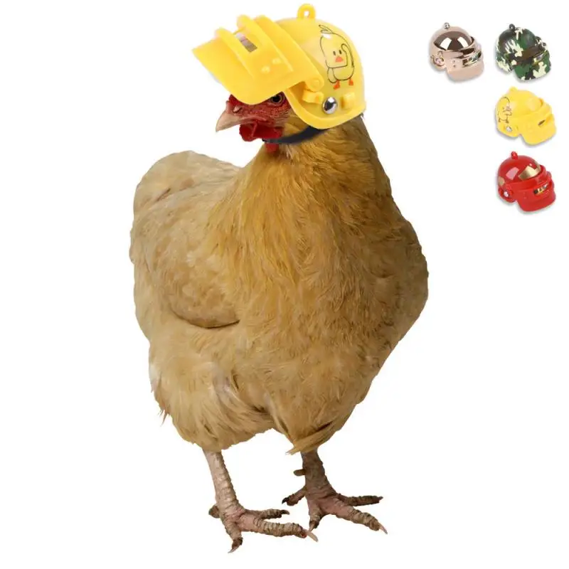 

Шлем для цыплят, оборудование для домашних животных, шлем для птиц, уток, перепелов