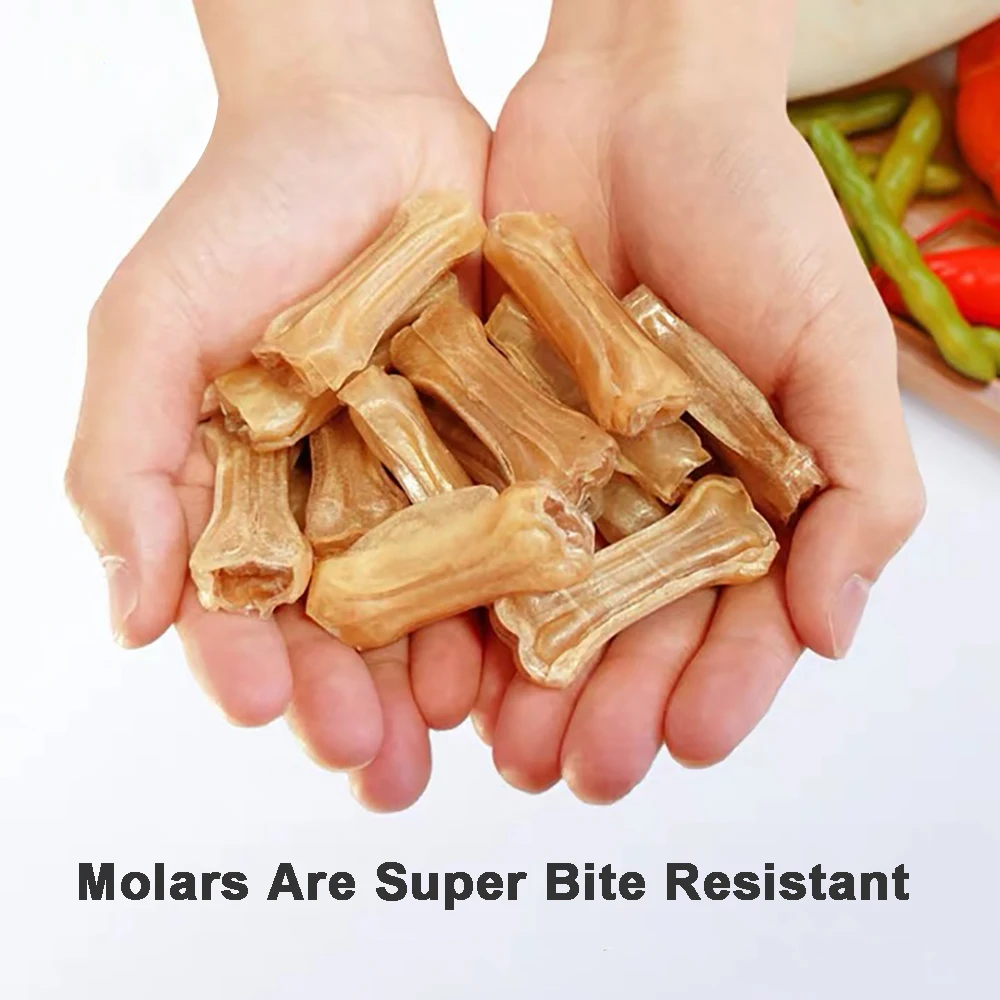 Новинка 2021 игрушка для собак щетка жевания костей домашних питомцев маленькие и