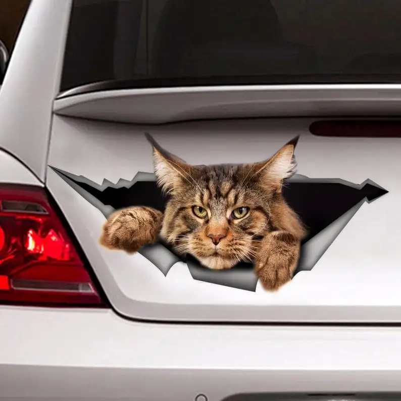 

Maine Coon car decal, funny sticker, big cat car sticker