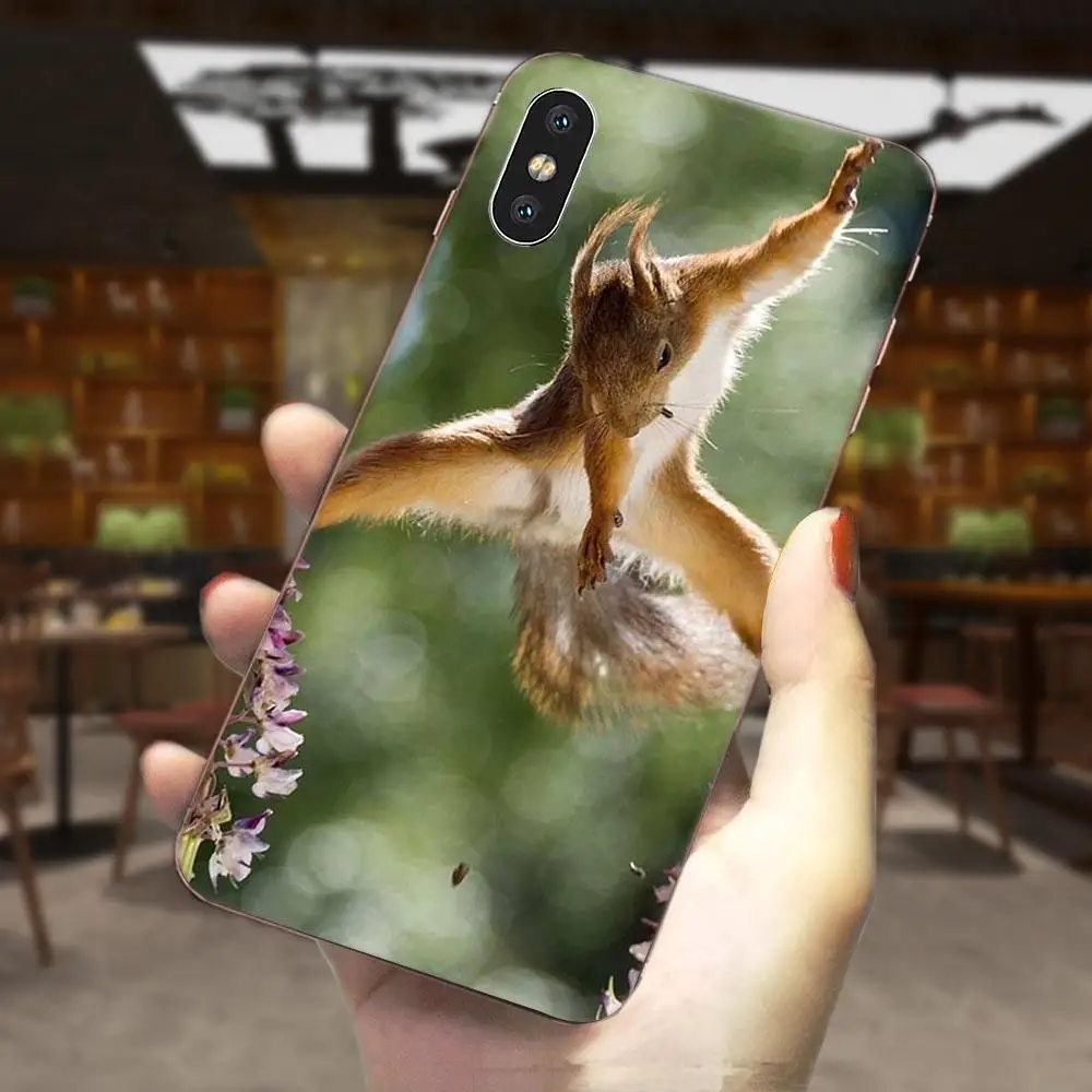Белка морская свинка мышь арахис искусственная кожа для Galaxy J1 J2 J3 J330 J4 J5 J6 J7 J730 J8 2015