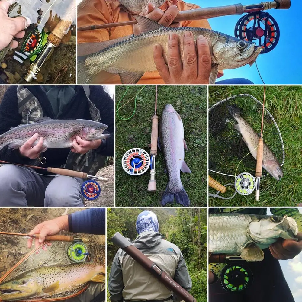 

Maximumcatch V-Gold Fly Fishing Rod 40T SK Carbon Fast Action With Cordura Rod Tube Guide Stainless Insert Pacbay Minima Ring