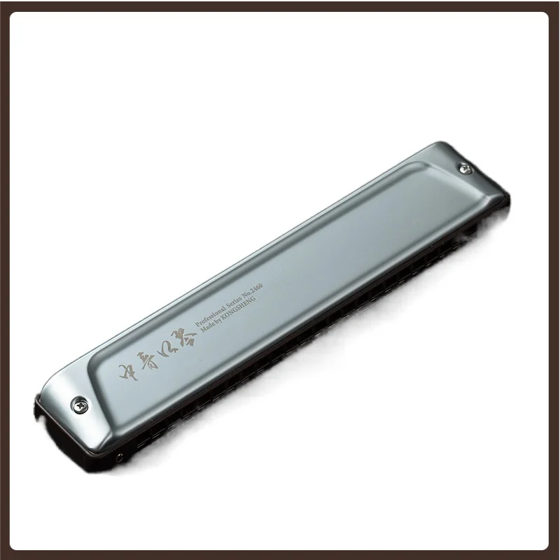 

Гармоника с 24 отверстиями, Профессиональная Детская гармоника, оригинальная гармоника Bluetooth, Спортивная развлекательная гармоника