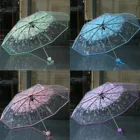 Новый женский зонт от дождя, многоцветный прозрачный зонт от дождя с цветком вишни, гриб Apollo Sakura, складной зонт от дождя