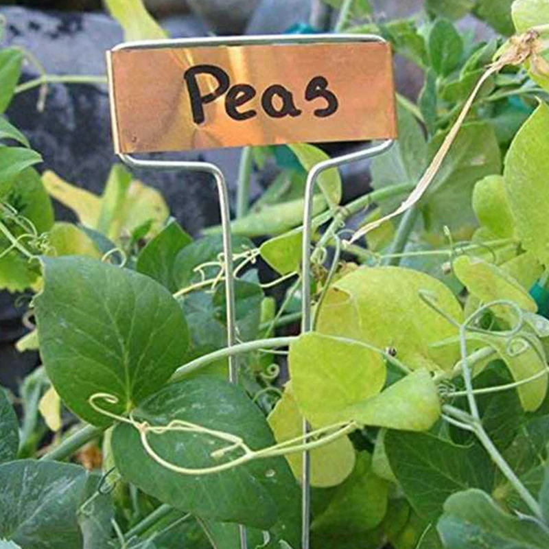 

40 Pieces of Metal Plant Labels 10 Inch Copper Plant Labels Plant Tag Labels