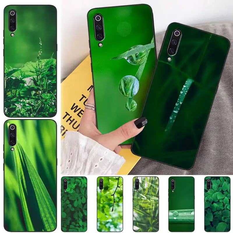 

Green Small Fresh Eye Care Phone Case For Xiaomi Mi Cc Note 7 8 8t 8es 9 9se 9a 10 10t 11 F1 MAX 2 3 Pro Lite Ultra Funda