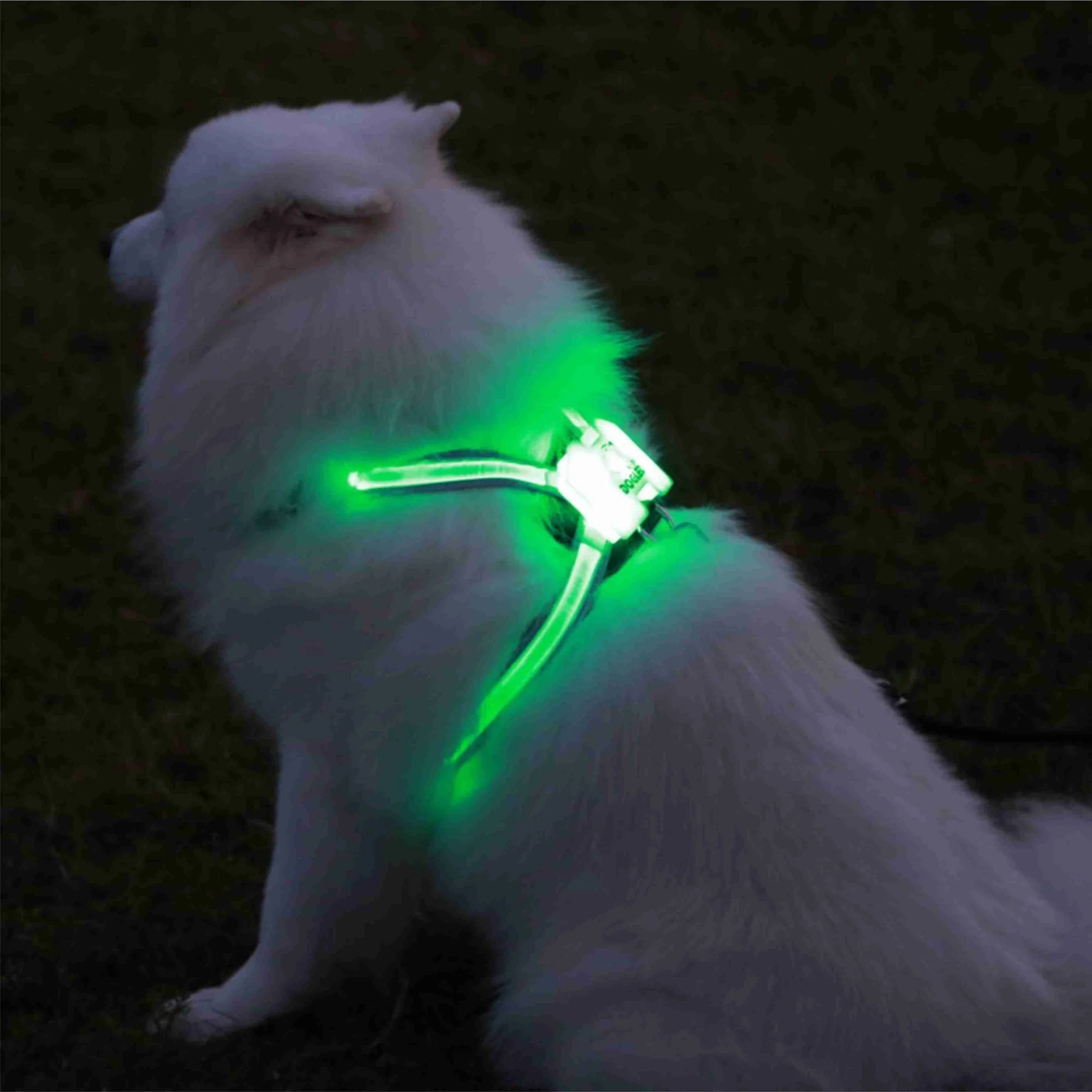 

NEWlace 2022 cc simon, Свадебный ошейник для собак, заводской поставщик, разноцветный светящийся ночник со светодиодсветильник кой, жгут для собак
