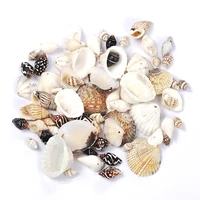7styles 50g cameo natural shells charm conch diy resin mold filler for jewelry making necklace bracelet pendants accessories