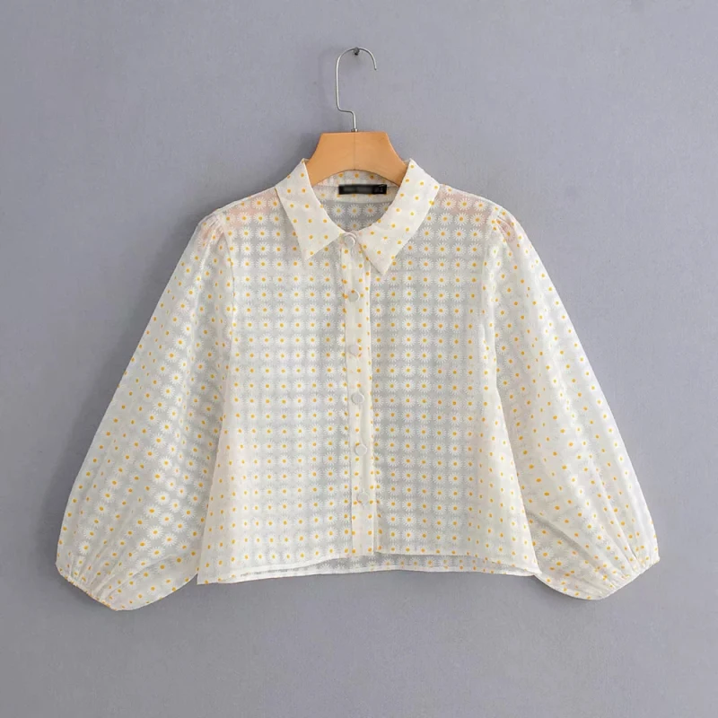 Женские прозрачные шифоновые рубашки 2019 летние модные женские мягкие блузка из