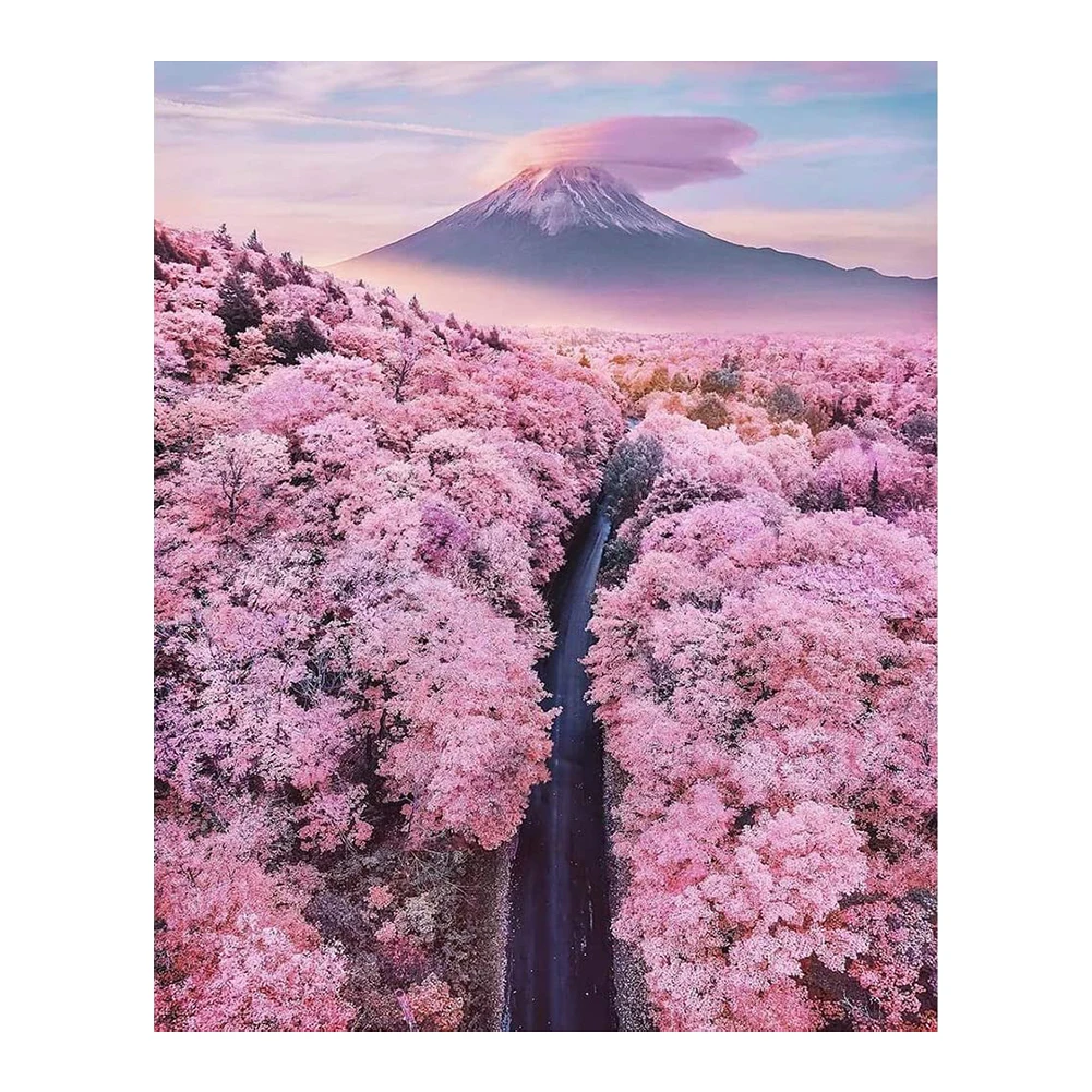 

30*40cm 5D Diamond Painting Sakura Fujiyama Image DIY by Painted Kit Craft Home Wall Decoration Room Art Picture