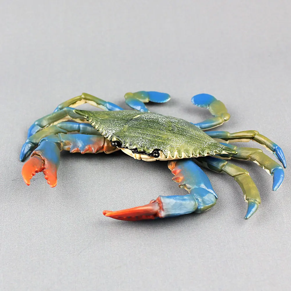 

Gifts Figure Simulation Crab Decoration Home Plastic Realistic Toy Collection Learning Educational Solid Child Sea Animal Model