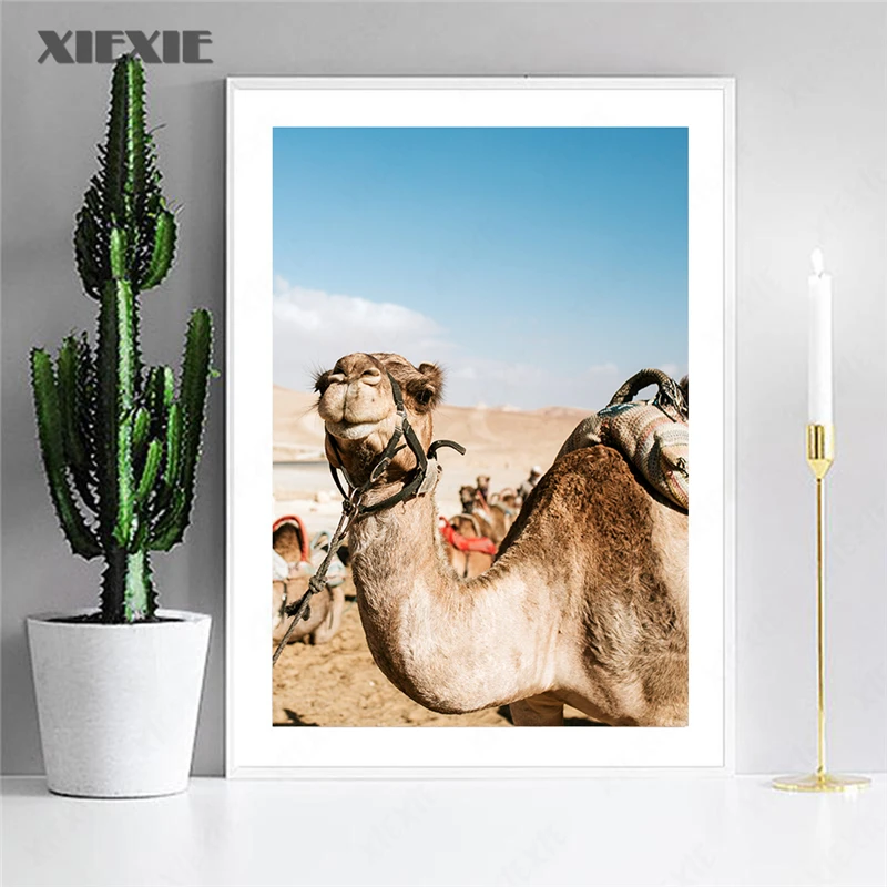 Настенное украшение пустыня верблюд искусство и принты Картина на холсте