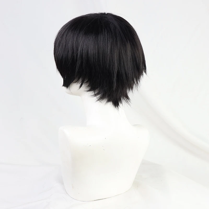 Парик для косплея A Traveler In Time And Space Ayn синтетические термостойкие волосы