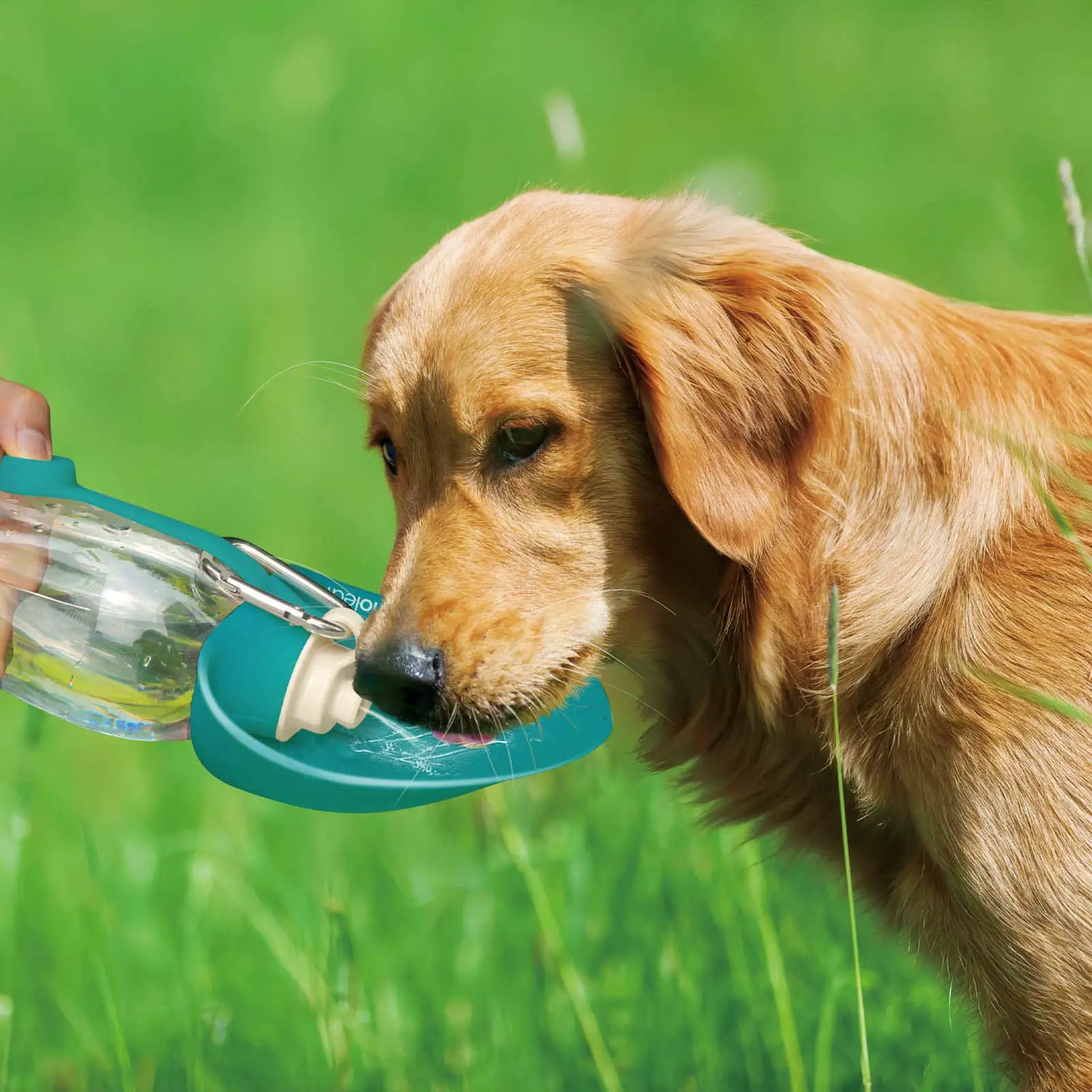 

Dog Water Bottle for Walking Pet Water Dispenser Feeder Container portable Drinking Cup Bowl Outdoor Hiking Travel for Puppy Cat