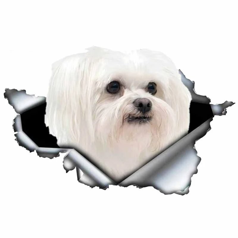 

S50071# 13/15/17CM Personality PVC Decal Maltese Dog V6 Waterproof Car Sticker on Motorcycle Laptop Decorative Accessories