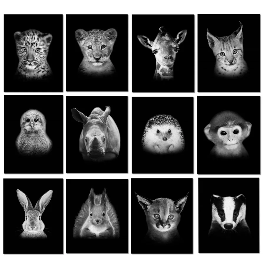 Черно-белое животное сделай сам Искусство Жираф Слон Тигр Кот Сова Вышивка